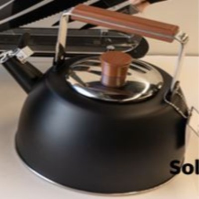 Solid Color Kettle $48.00