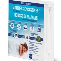BED BUG COVER - FULL